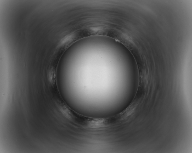 X0000087340138200704201152