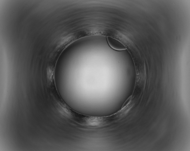 X0000087340142200704201152