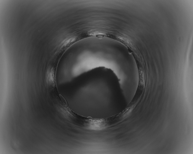 X0000087340143200704201152