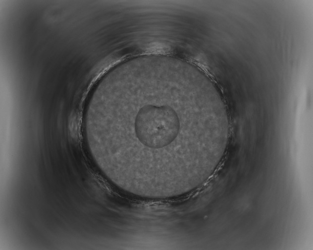 X0000087340146200704201151