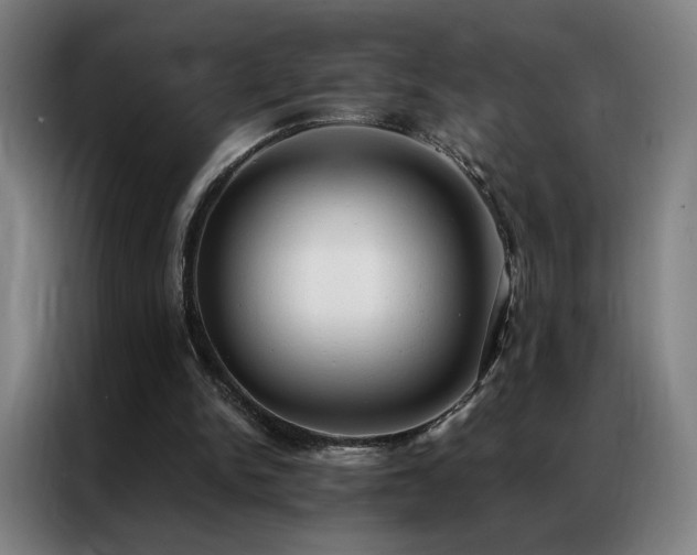 X0000087340150200704201151