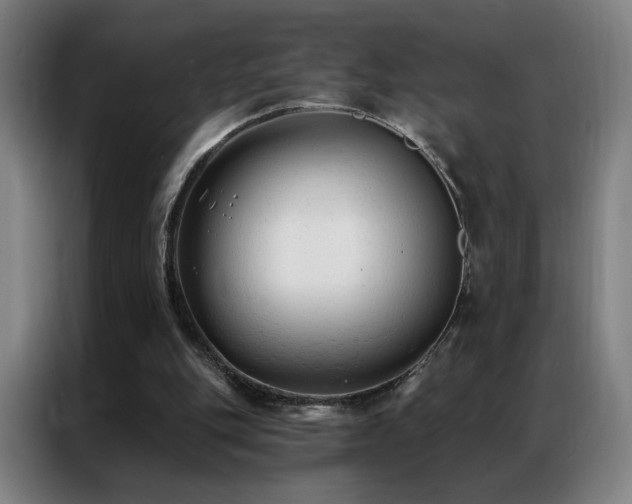 X0000087340151200704201151