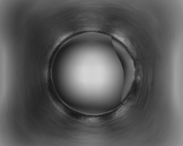 X0000087340156200704201151
