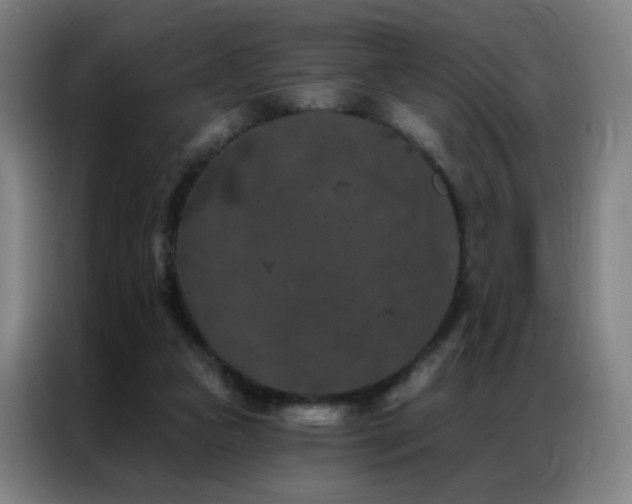 X0000087340161200704201151
