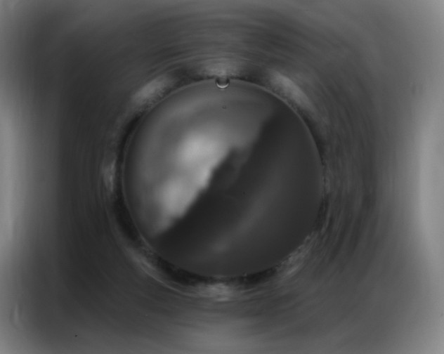 X0000087340163200704201151