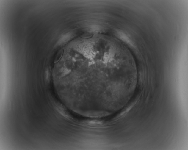 X0000087340165200704201151