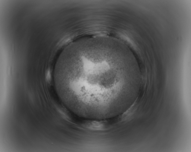 X0000087340166200704201151