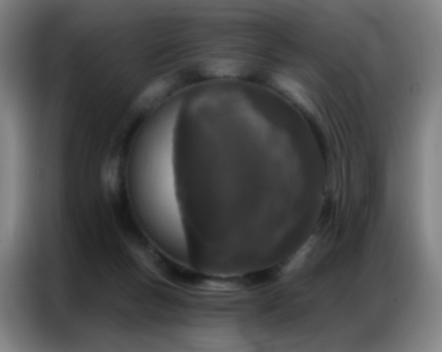 X0000087340167200704201151