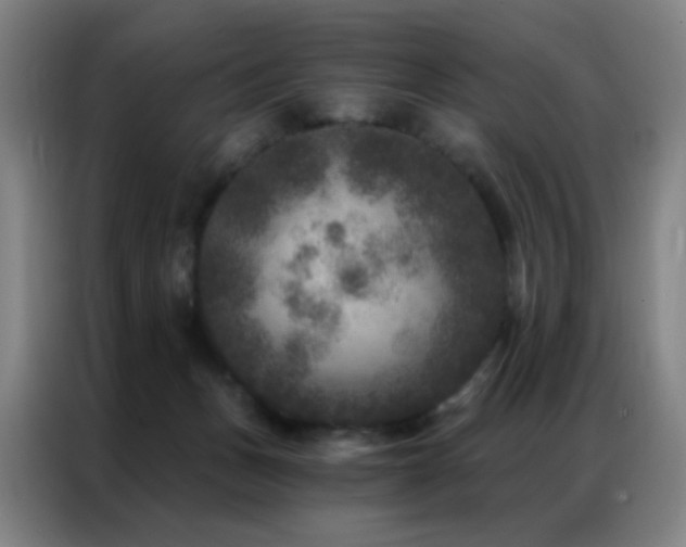 X0000087340175200704201152