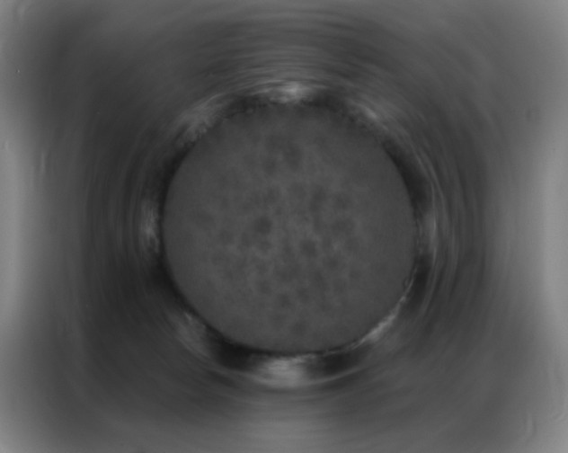 X0000087340178200704201152