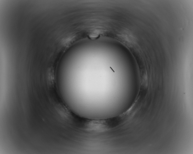 X0000087340179200704201152