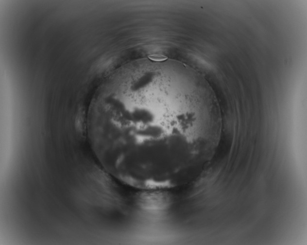 X0000087340181200704201152