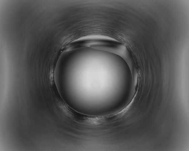 X0000087340190200704201152