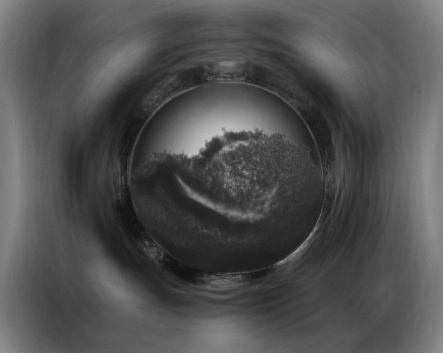 X0000087340191200704201152