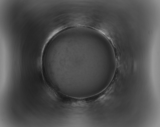 X0000087340196200704201151