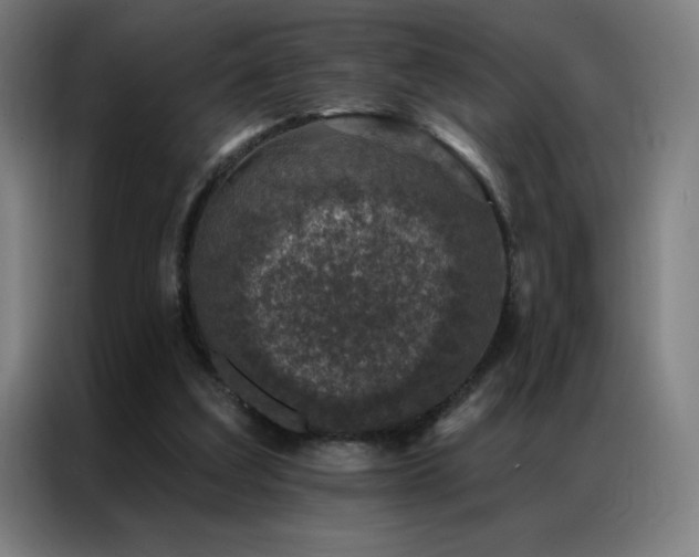 X0000087340203200704201151