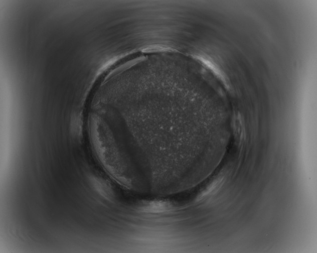 X0000087340204200704201151