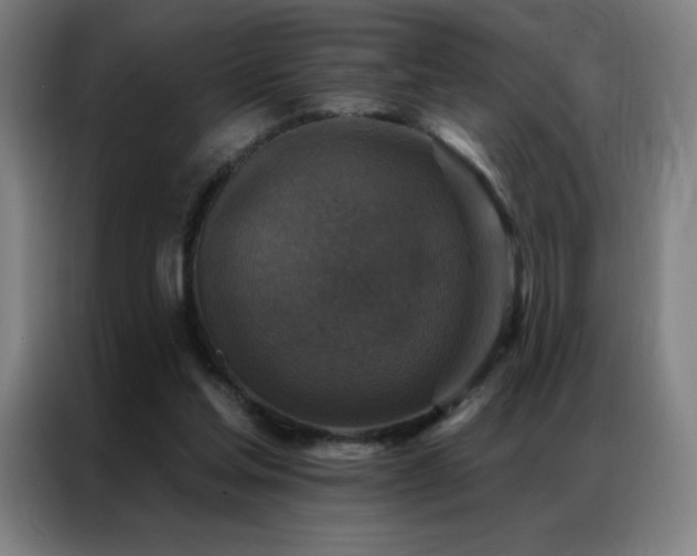 X0000087340205200704201151