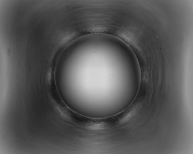 X0000087340206200704201151