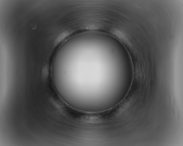 X0000087340208200704201151