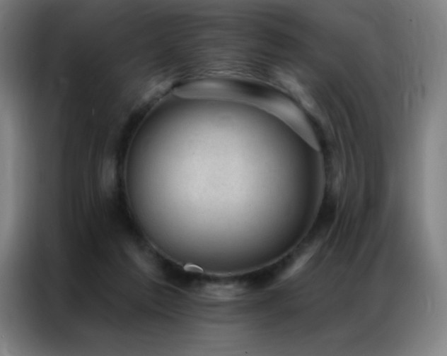 X0000087340213200704201151