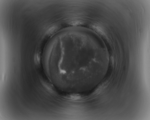 X0000087340214200704201151