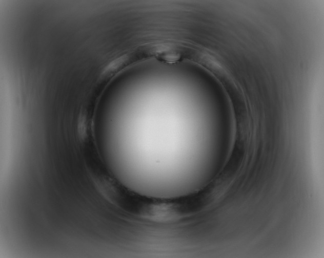 X0000087340216200704201151