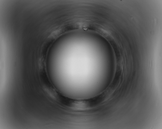 X0000087340218200704201151