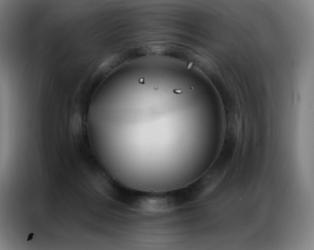 X0000087340220200704201151