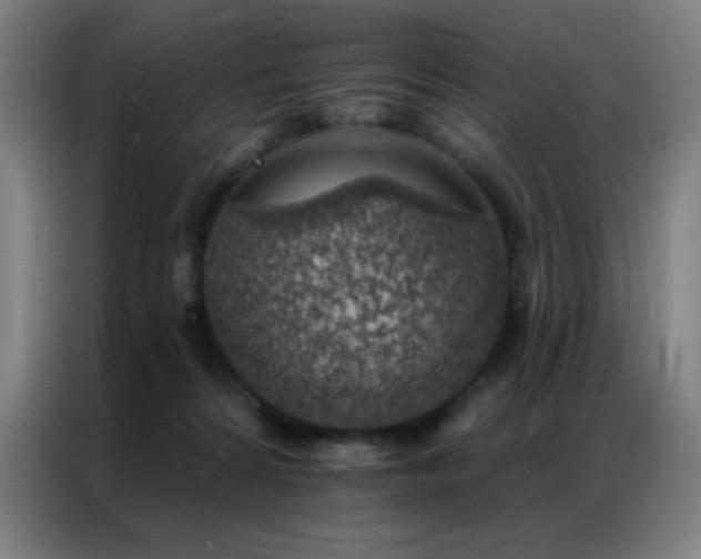 X0000087340224200704201151