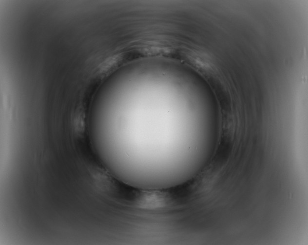 X0000087340226200704201151