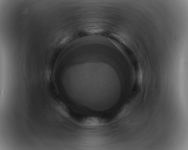 X0000087340227200704201151