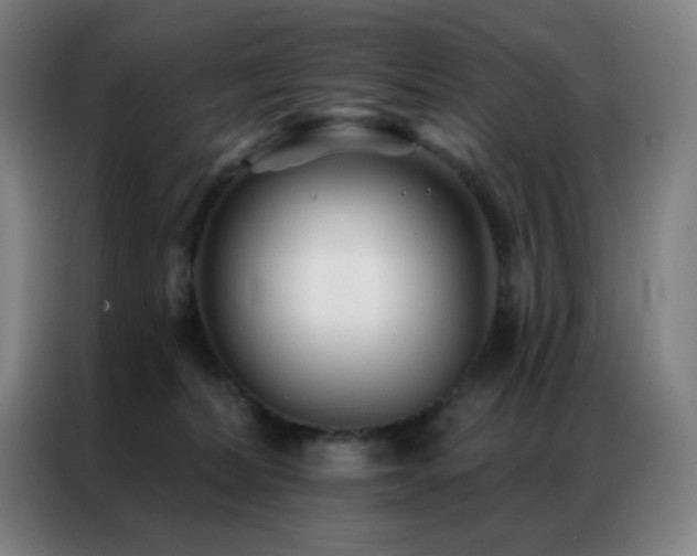 X0000087340228200704201151