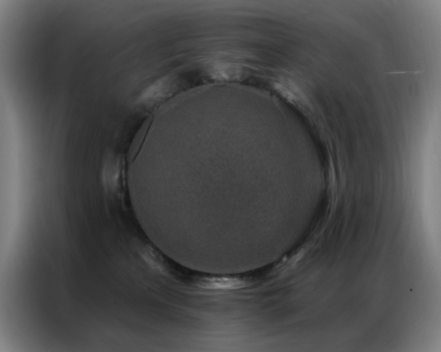 X0000087340233200704201151