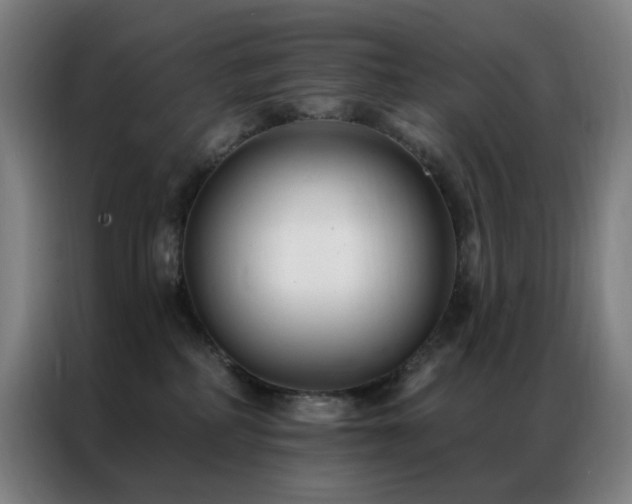 X0000087340234200704201151