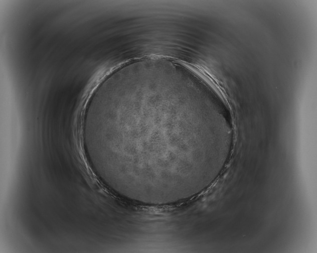 X0000087340241200704201150