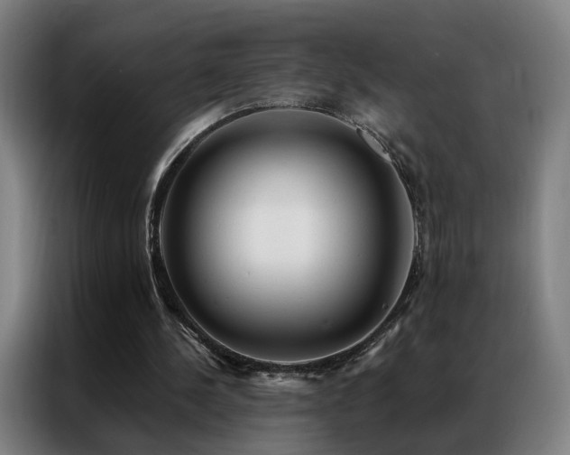 X0000087340244200704201150