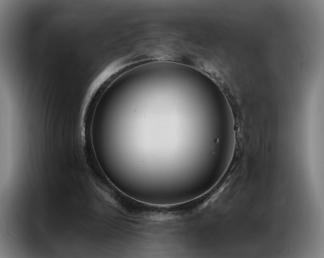 X0000087340246200704201150