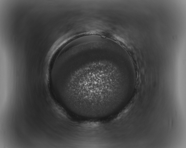 X0000087340247200704201150