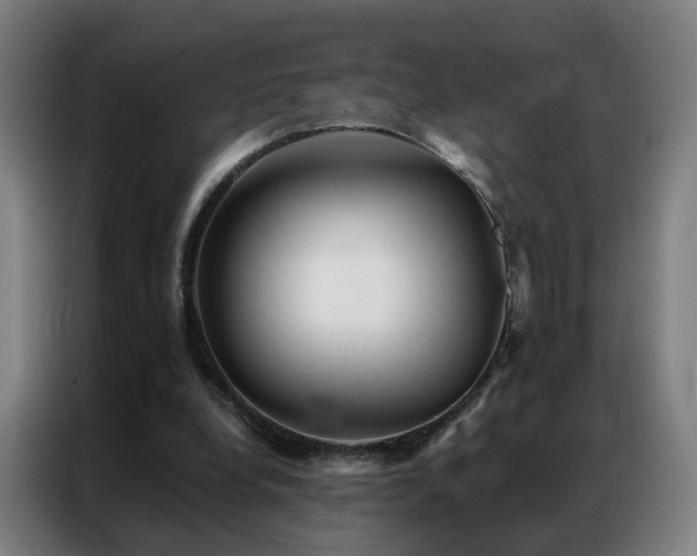 X0000087340248200704201150