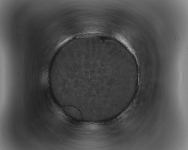 X0000087340249200704201150