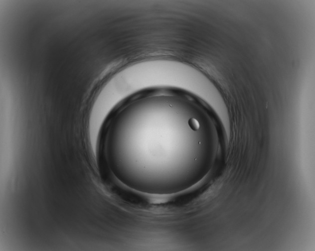 X0000087340256200704201150