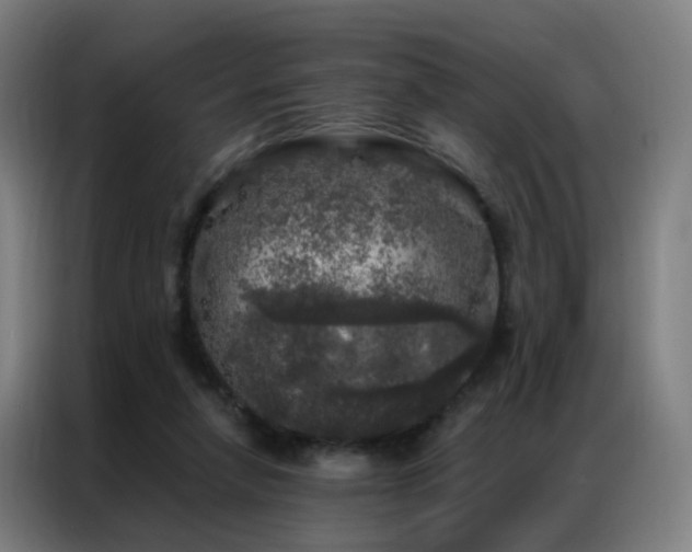 X0000087340258200704201150