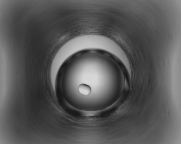 X0000087340260200704201150