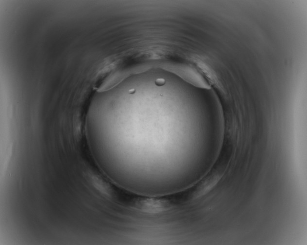 X0000087340261200704201150