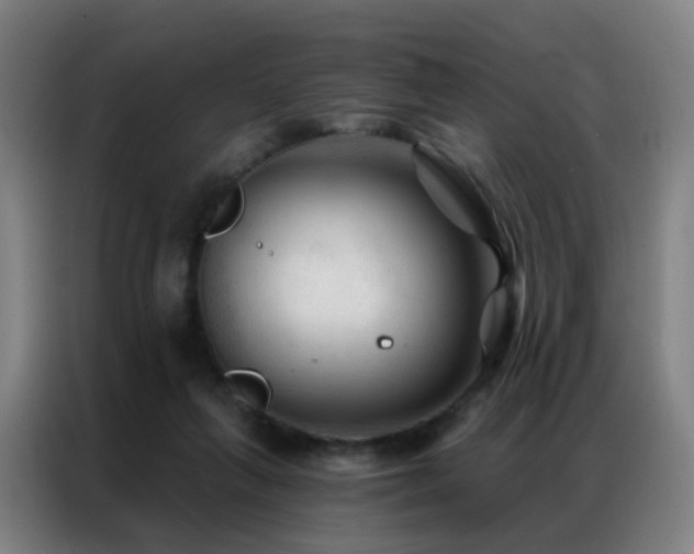 X0000087340263200704201150
