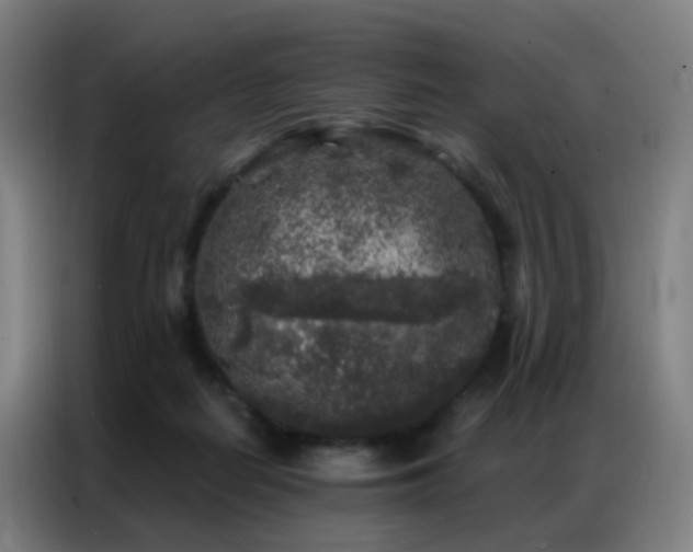 X0000087340266200704201150
