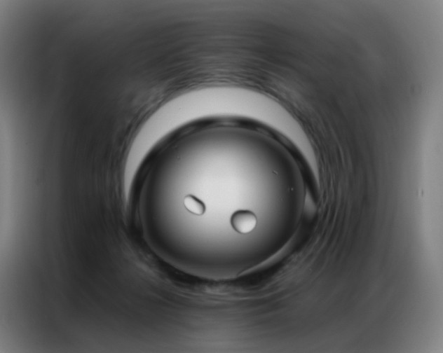X0000087340268200704201150