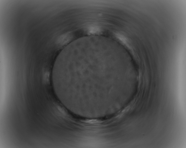 X0000087340269200704201150