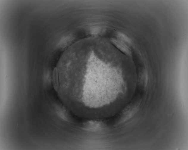 X0000087340272200704201150